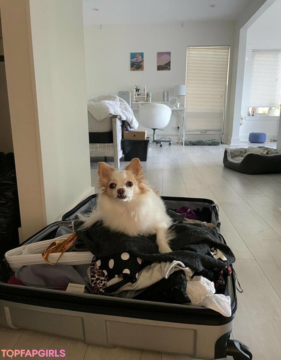 Foto desnuda filtrada de OnlyFans de Xsofiasunshine #370 Foto desnuda filtrada de OnlyFans de Xsofiasunshine #370