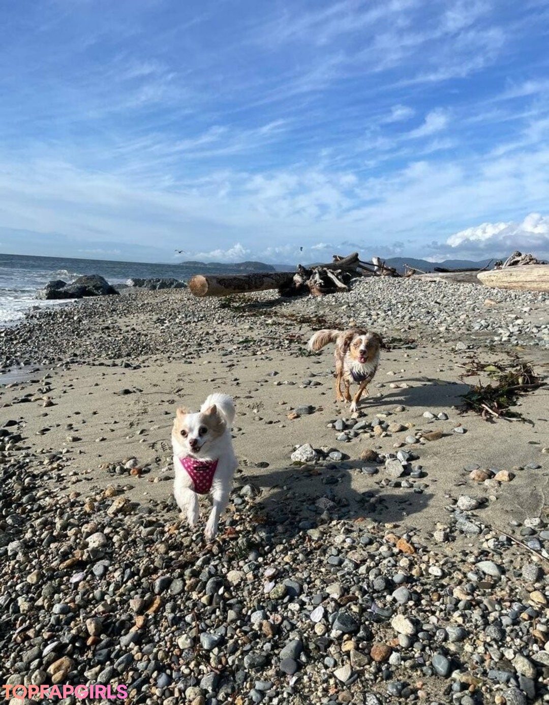 Foto desnuda filtrada de OnlyFans de Xsofiasunshine #57 Foto desnuda filtrada de OnlyFans de Xsofiasunshine #57