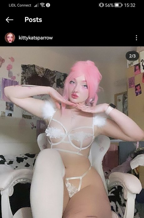 Foto desnuda filtrada de OnlyFans de Kittykatsparrow