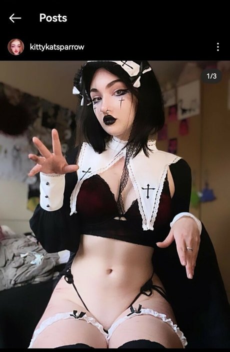 Kittykatsparrow