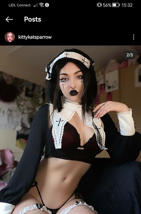 Kittykatsparrow