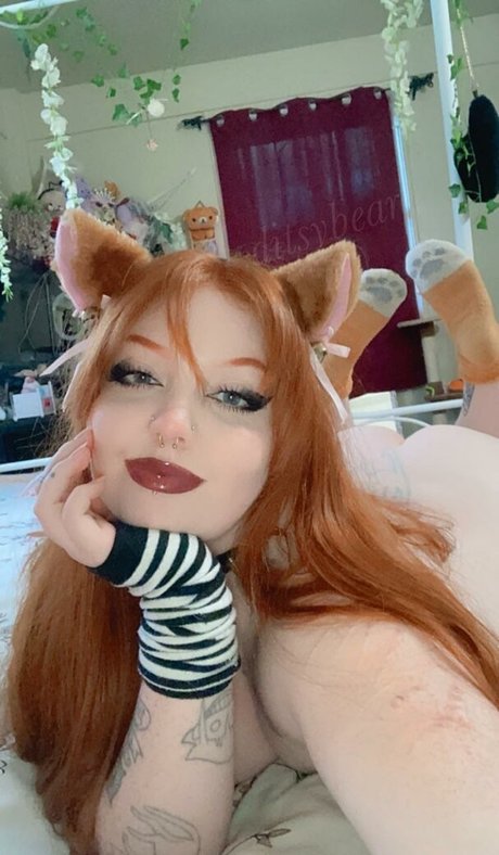 Ditsybear