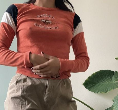 Lenamarisol