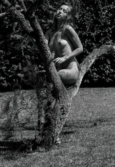 Diana Lark
