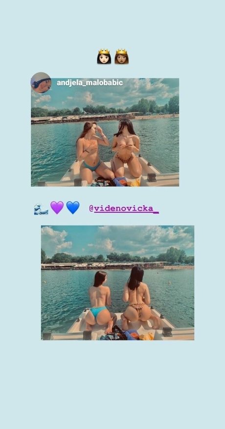 Videnovicka