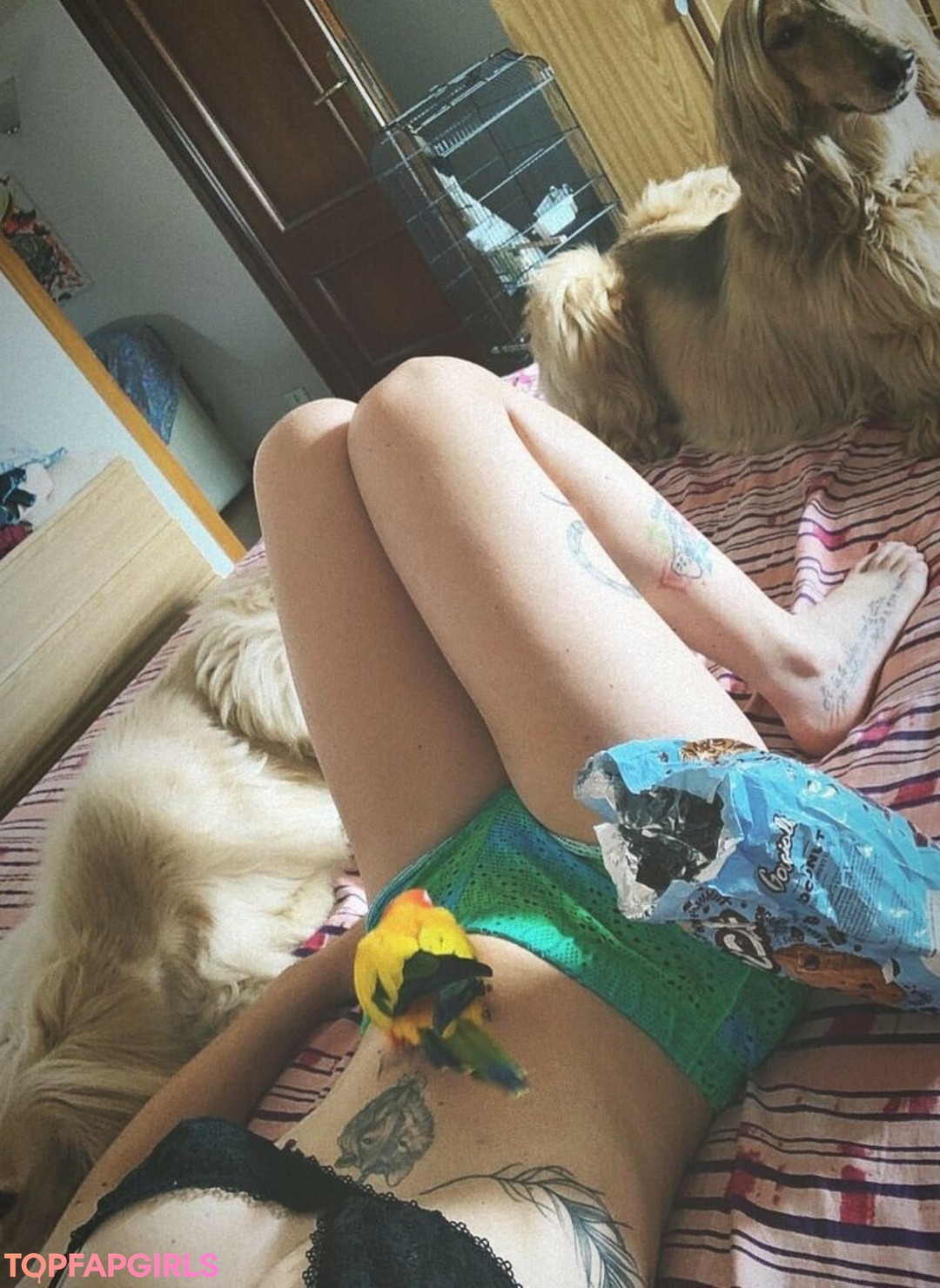 Foto desnuda filtrada de OnlyFans de Midorishake #17 Foto desnuda filtrada de OnlyFans de Midorishake #17