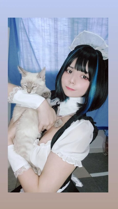 Little Mewi