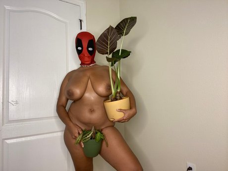 Planterriah