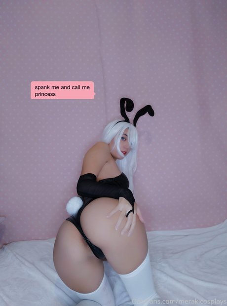 Meraky cosplays