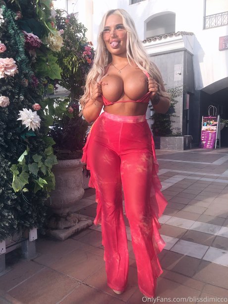 Bliss Dimicco