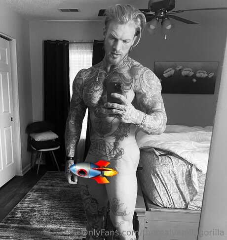 Therealvanillagorilla