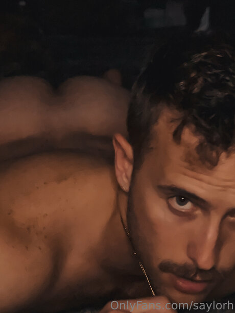 Saylorh