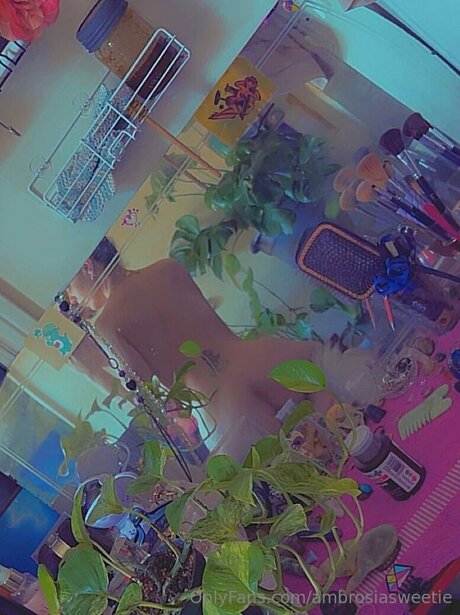 Ambrosiasweetie