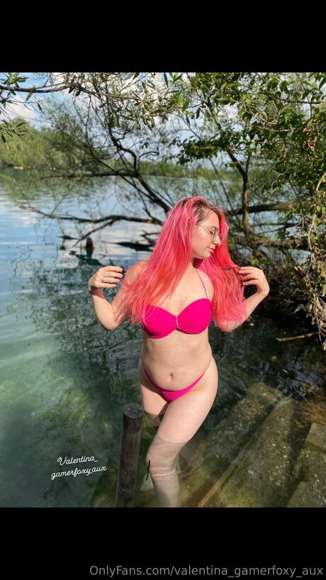 Valentina Gamerfoxy Aux