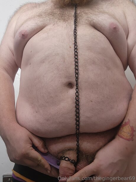 Thegingerbear69