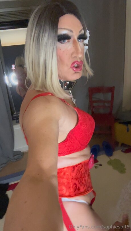 Sophiesoft5