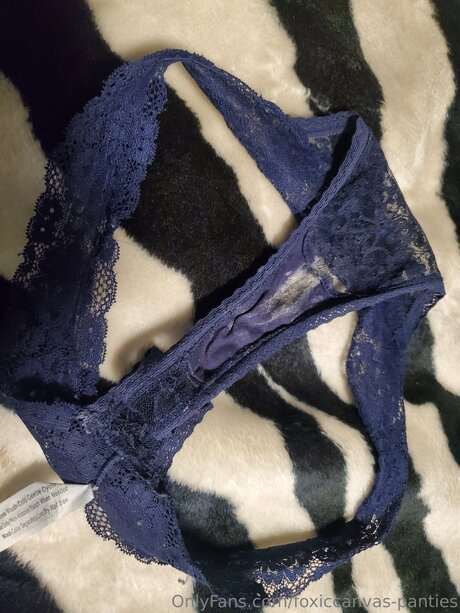 Foxiccanvas Panties