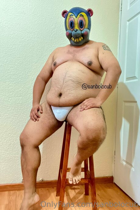 Sanbolocub