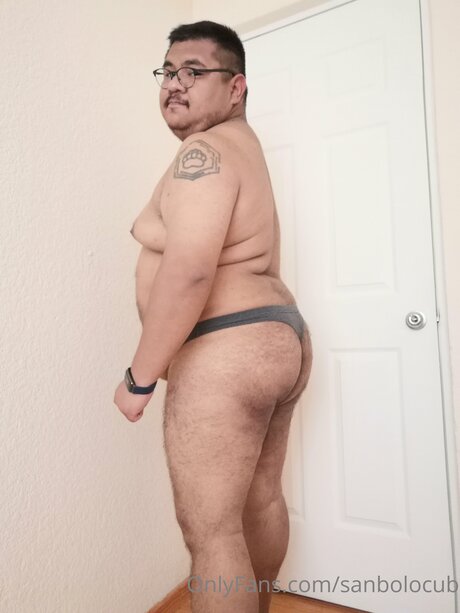 Sanbolocub