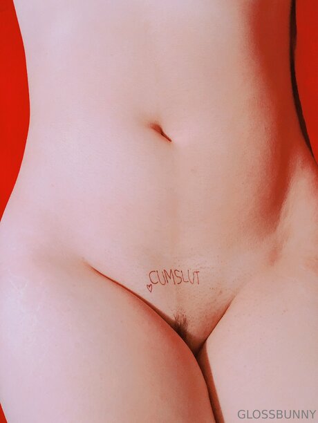 Glossbunny