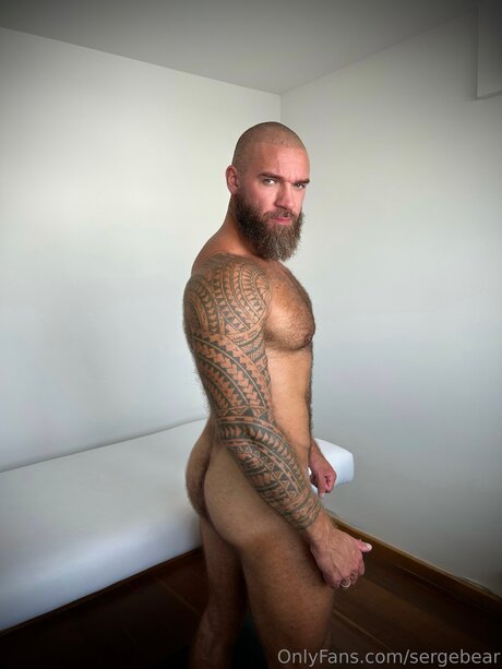 Sergebear