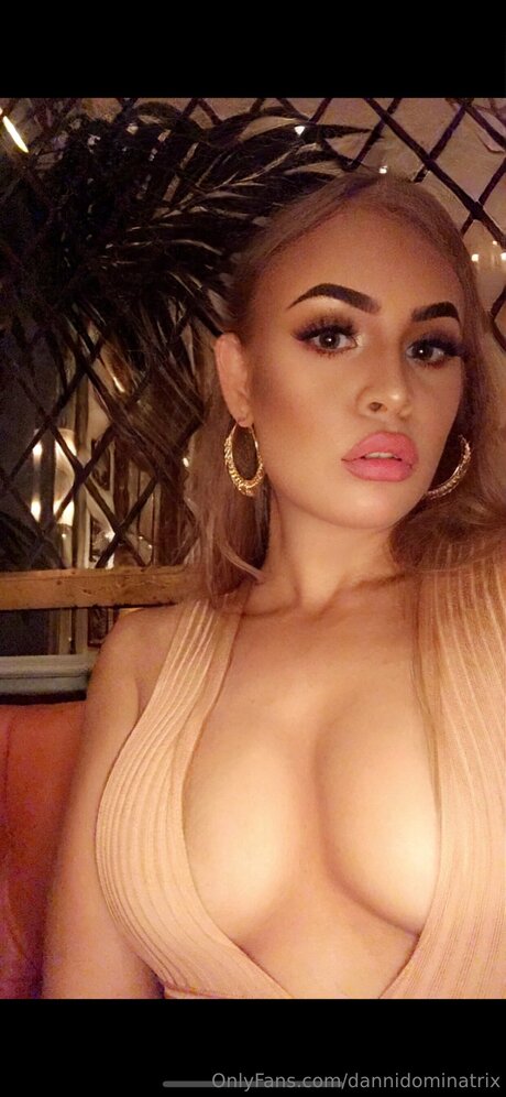 Dannidominatrix