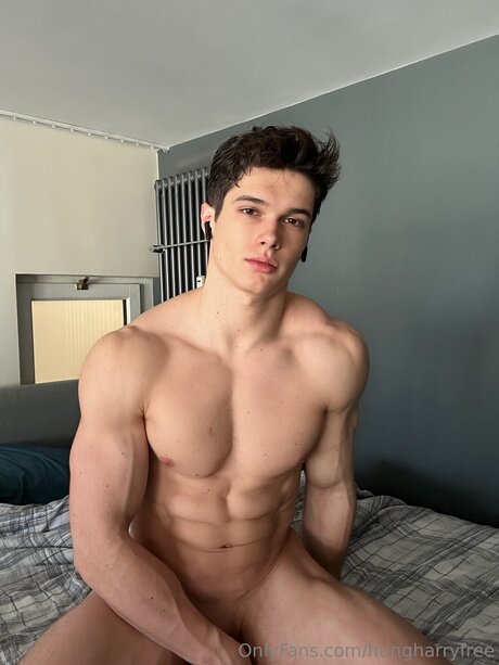 Hungharryfree