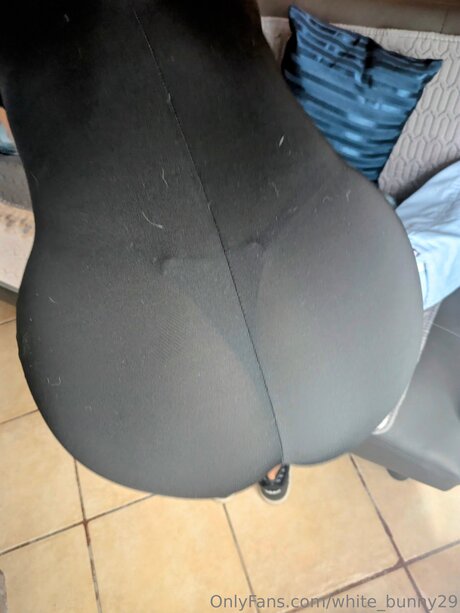 White Bunny29