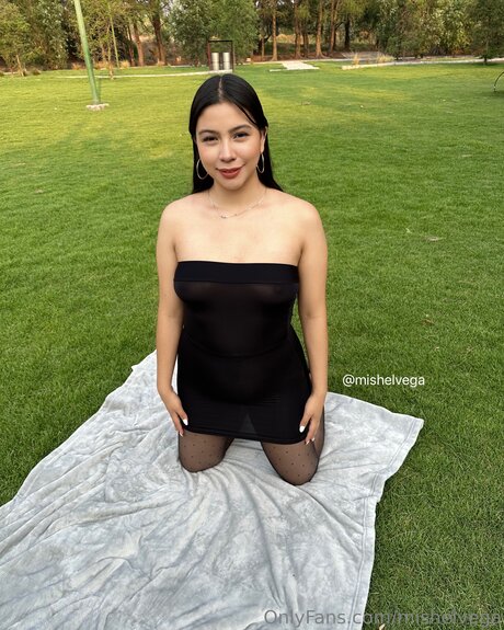Mishelvega