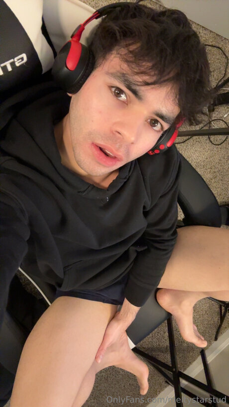 Meltystarstud