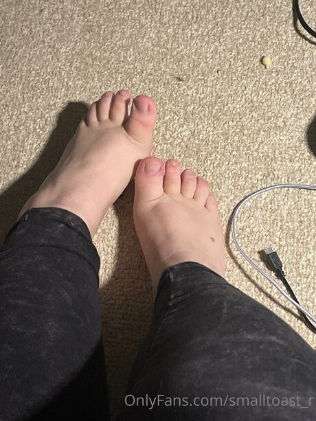 Toastyandwarm