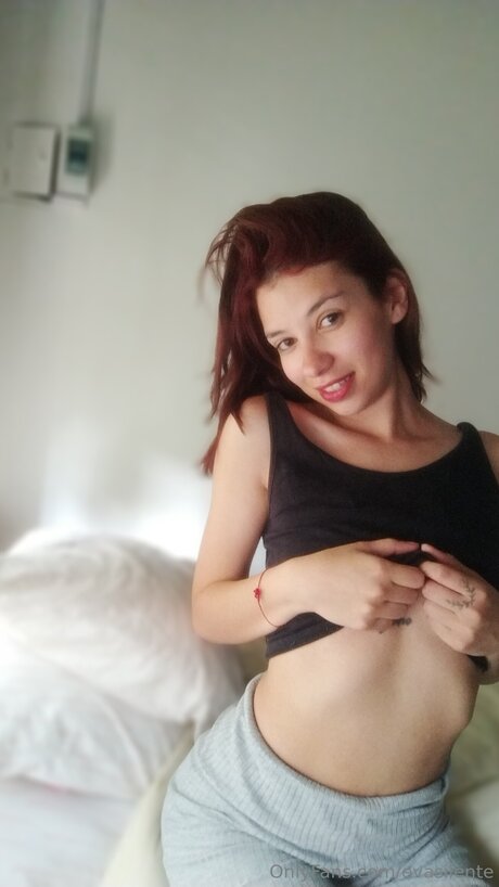 Evasilente
