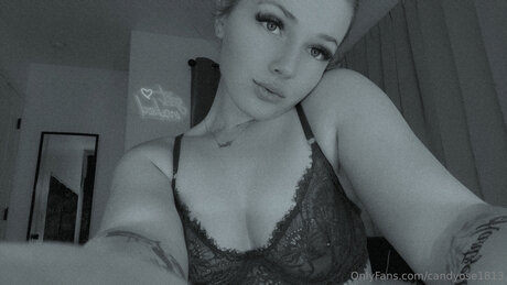Stephfree