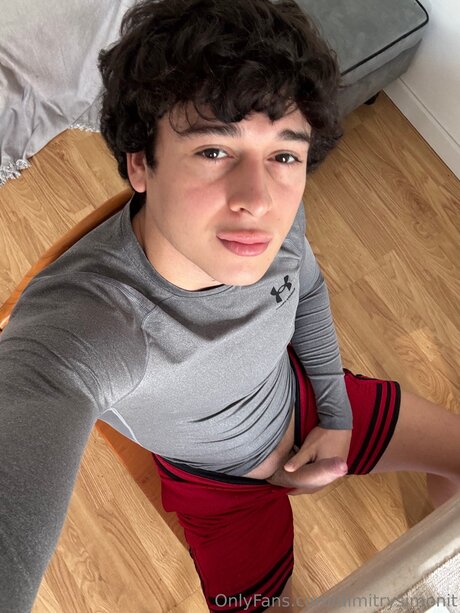 Dimitrysimonit