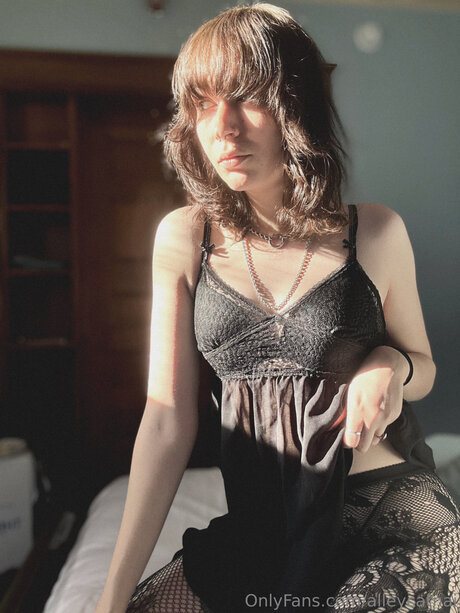 Alleycatnai