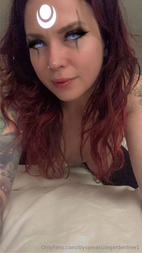 Lilyspleasuregardenfree1