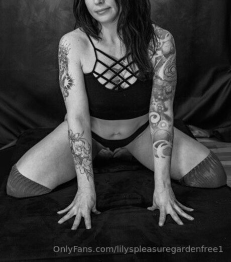 Lilyspleasuregardenfree1