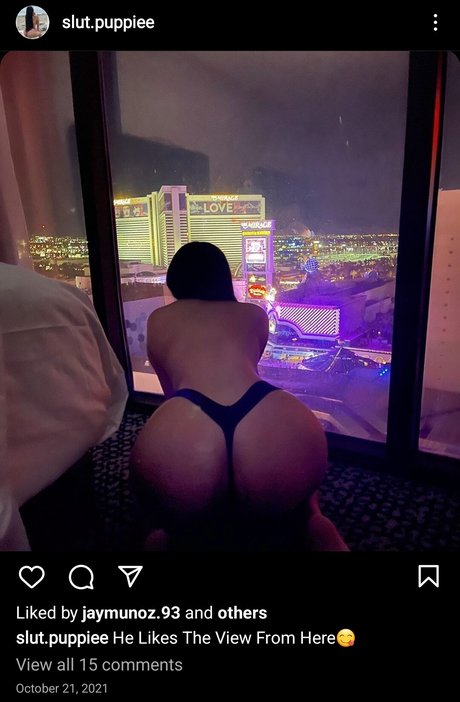 Foto desnuda filtrada de OnlyFans de Slut Puppie