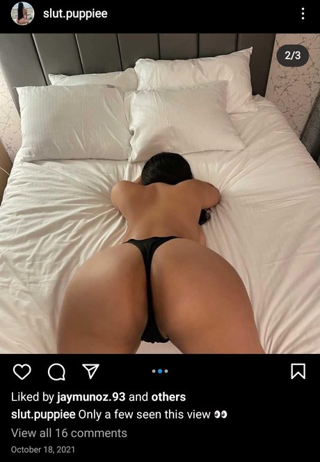 Slut Puppie