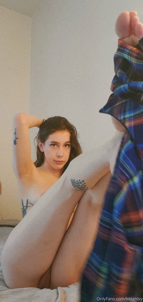 Kitten Ivy Sg