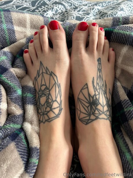 Redfeetwildink