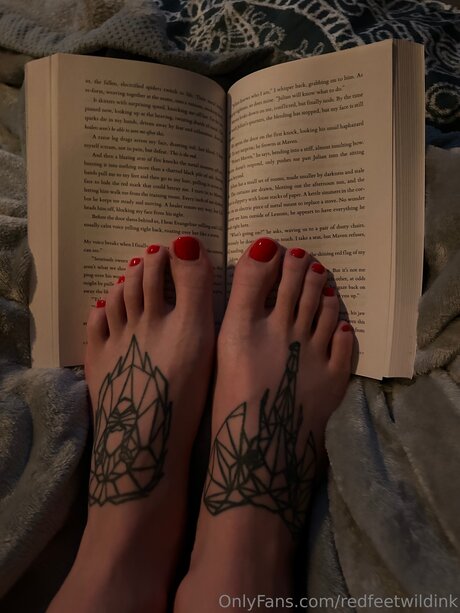 Redfeetwildink