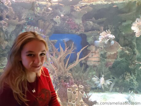 Ameliaablossom