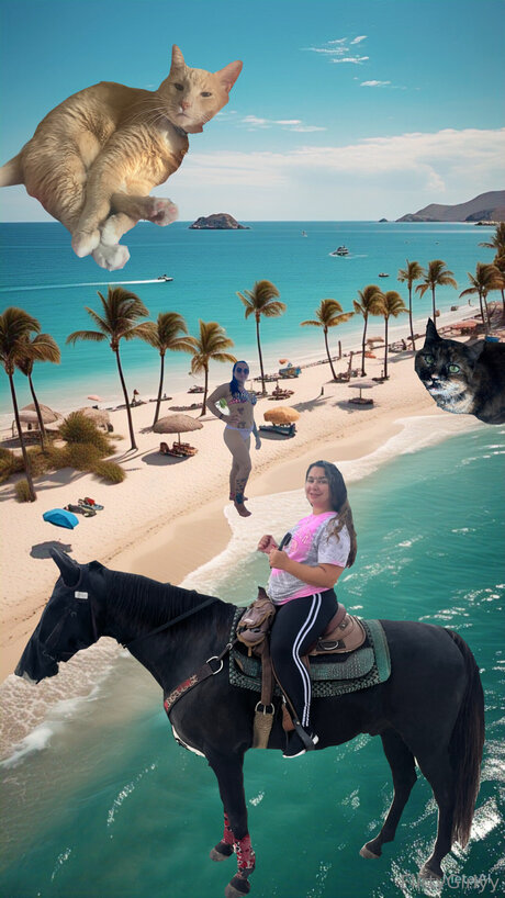 Bellathecat