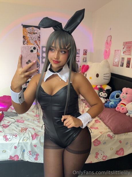 Itslittlelily