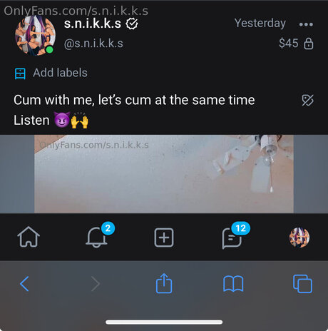 S N I K K S