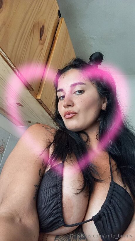 Anto Bunny