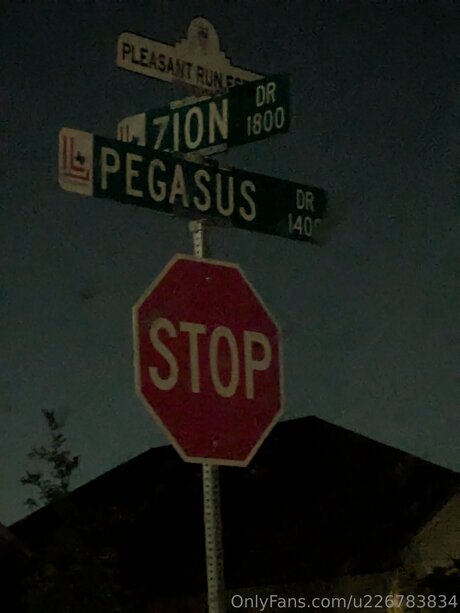 Pegasus Adrienne