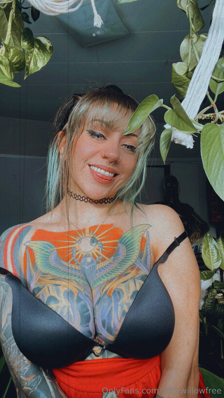 Littlewillowfree