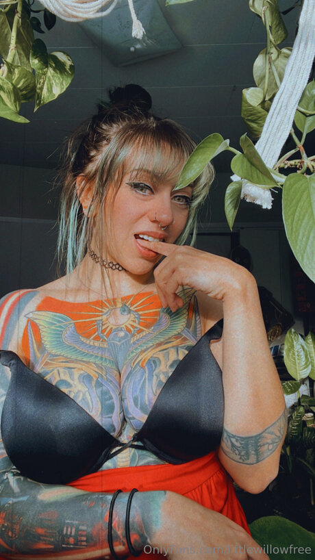 Littlewillowfree